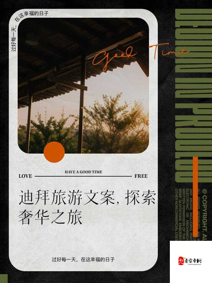 探索极致:模拟被 C 的独特奇妙感觉之旅